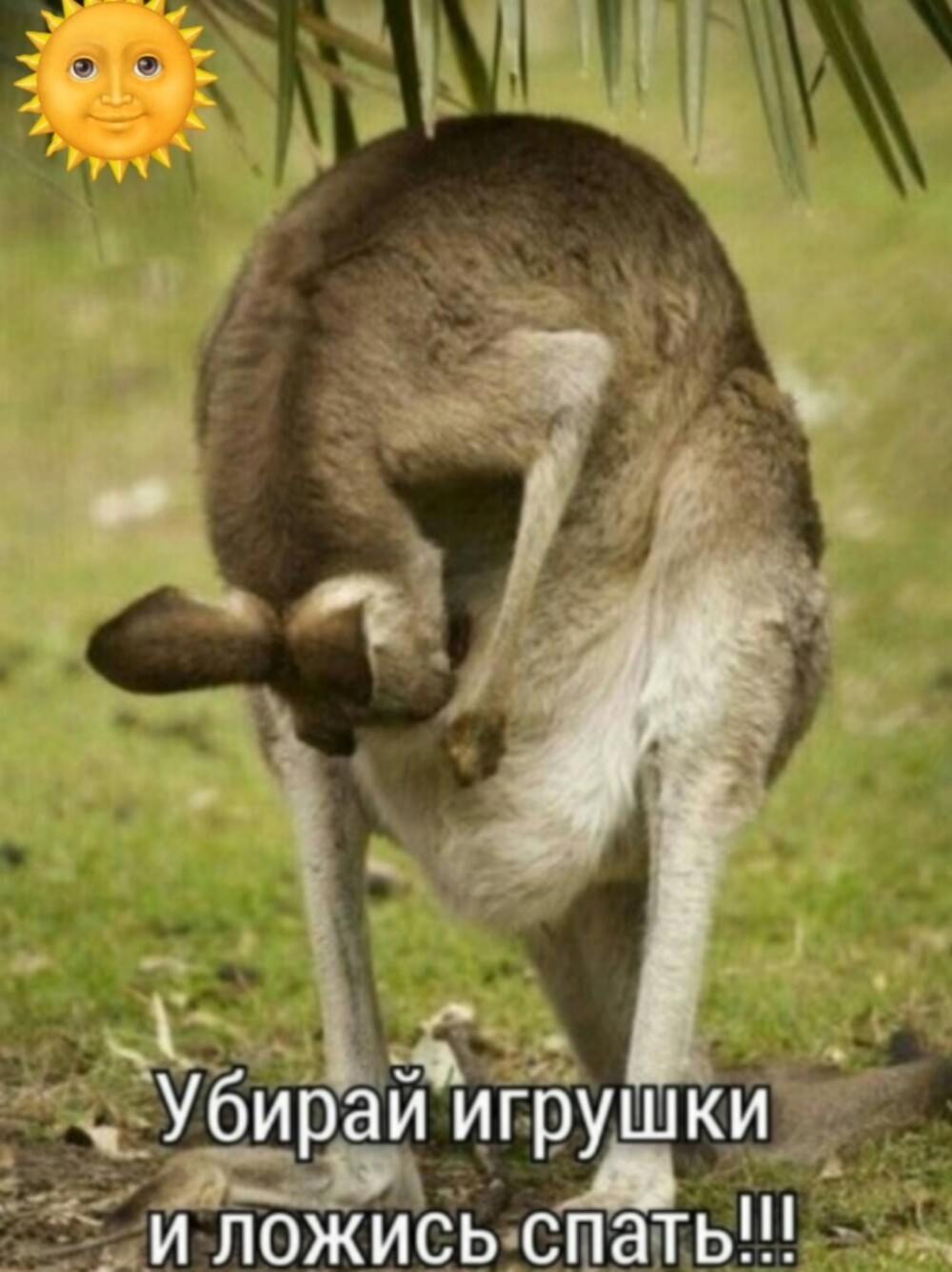 Большая тарелка улыбатора