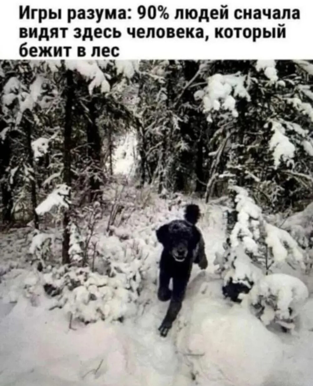 Большая тарелка улыбатора
