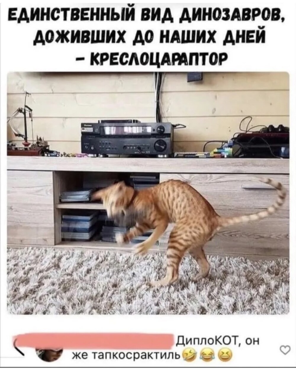 Большая тарелка улыбатора