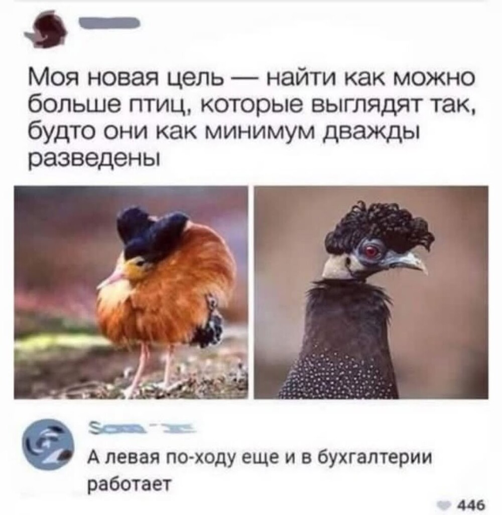 Большая тарелка улыбатора
