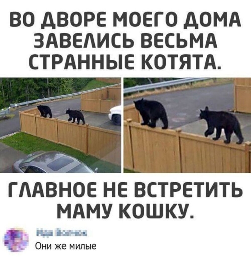 Большая тарелка улыбатора