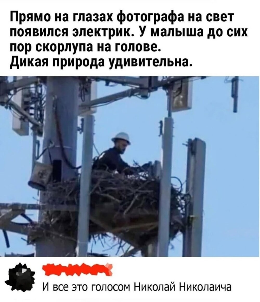 Большая тарелка улыбатора