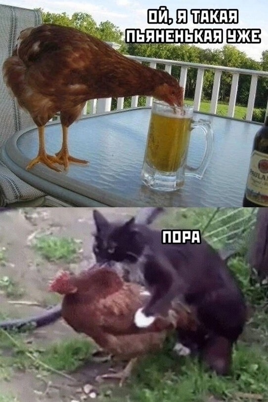 Большая тарелка улыбатора