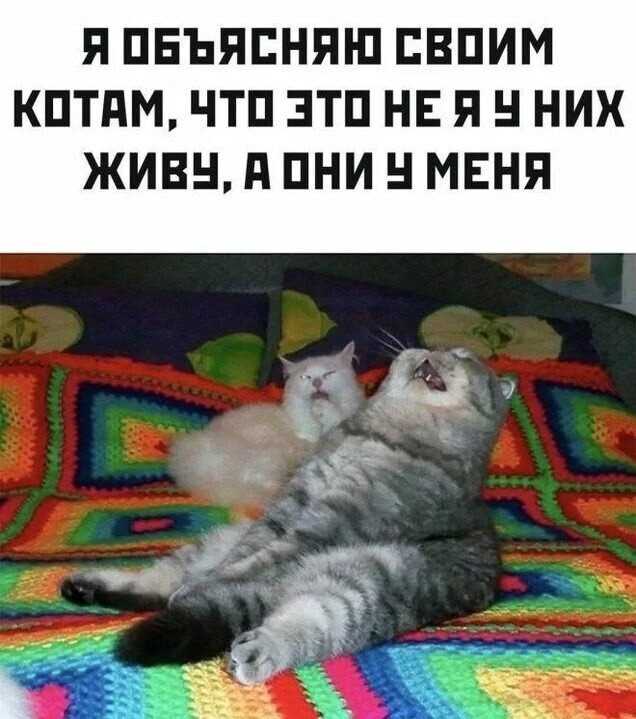 Большая тарелка улыбатора