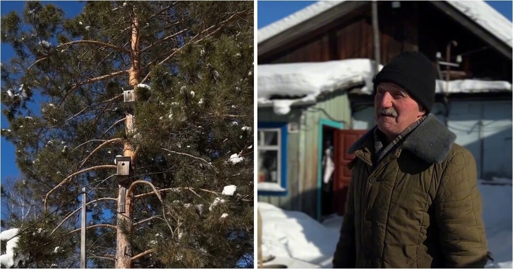 Пенсионер установил 14 скворечников на участке