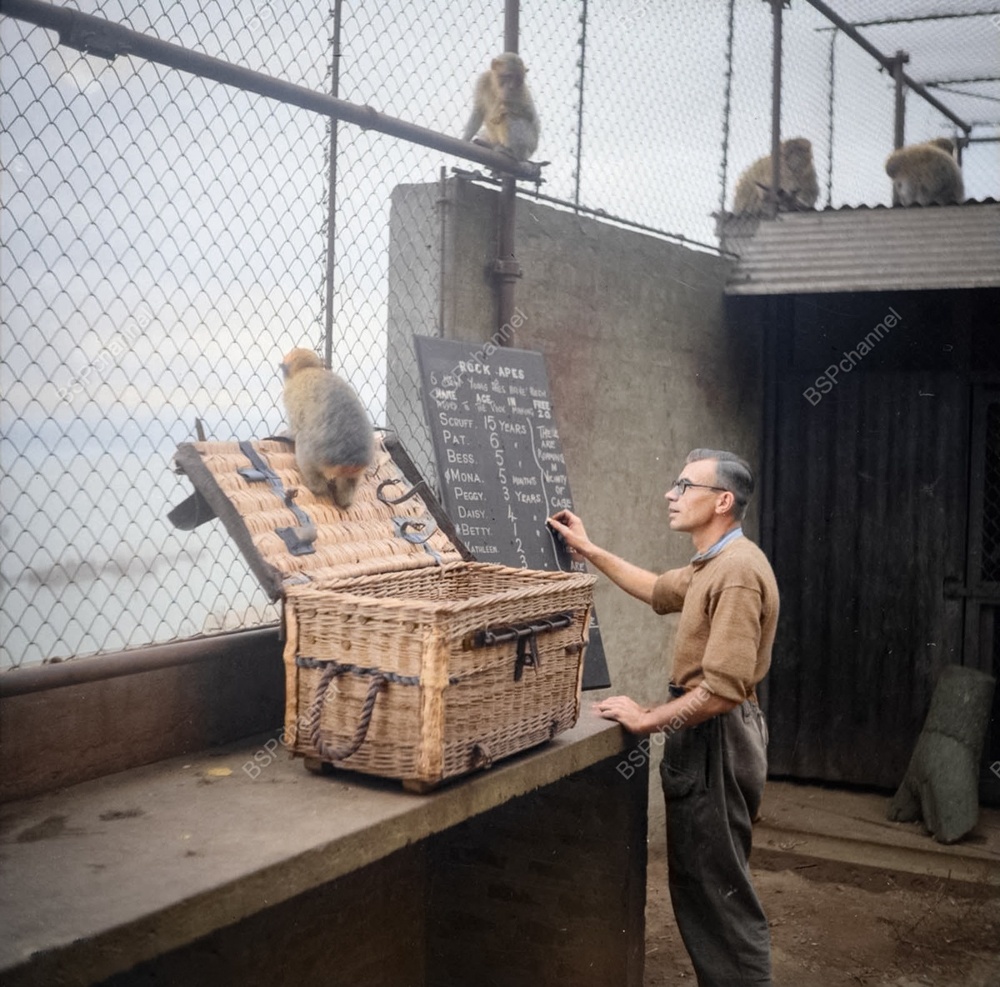 Любопытные фотографии из прошлого Великобритании