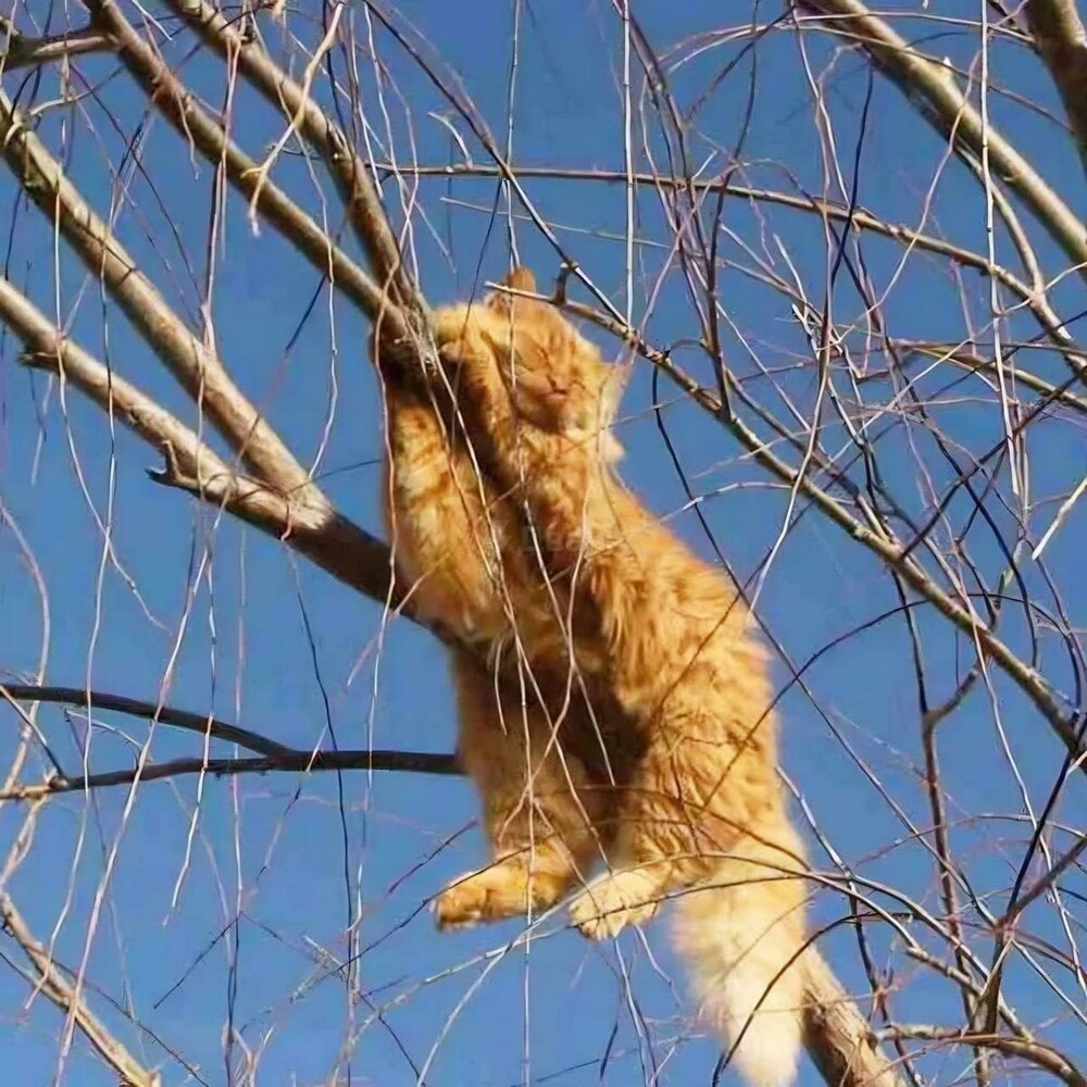 На общую тему&nbsp;