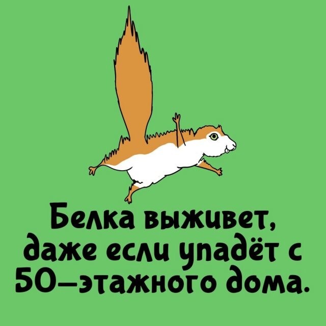А вдруг ты не знал…