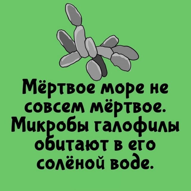 А вдруг ты не знал…