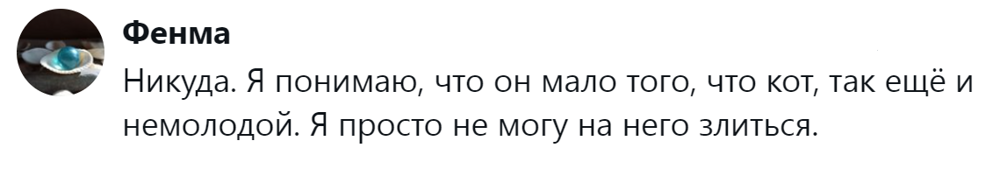12. На них невозможно злиться