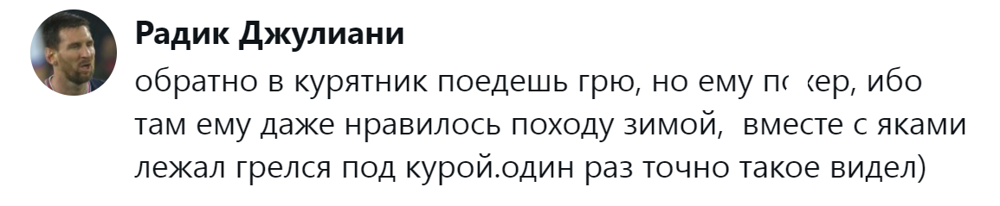 4. Его не пугает курятник