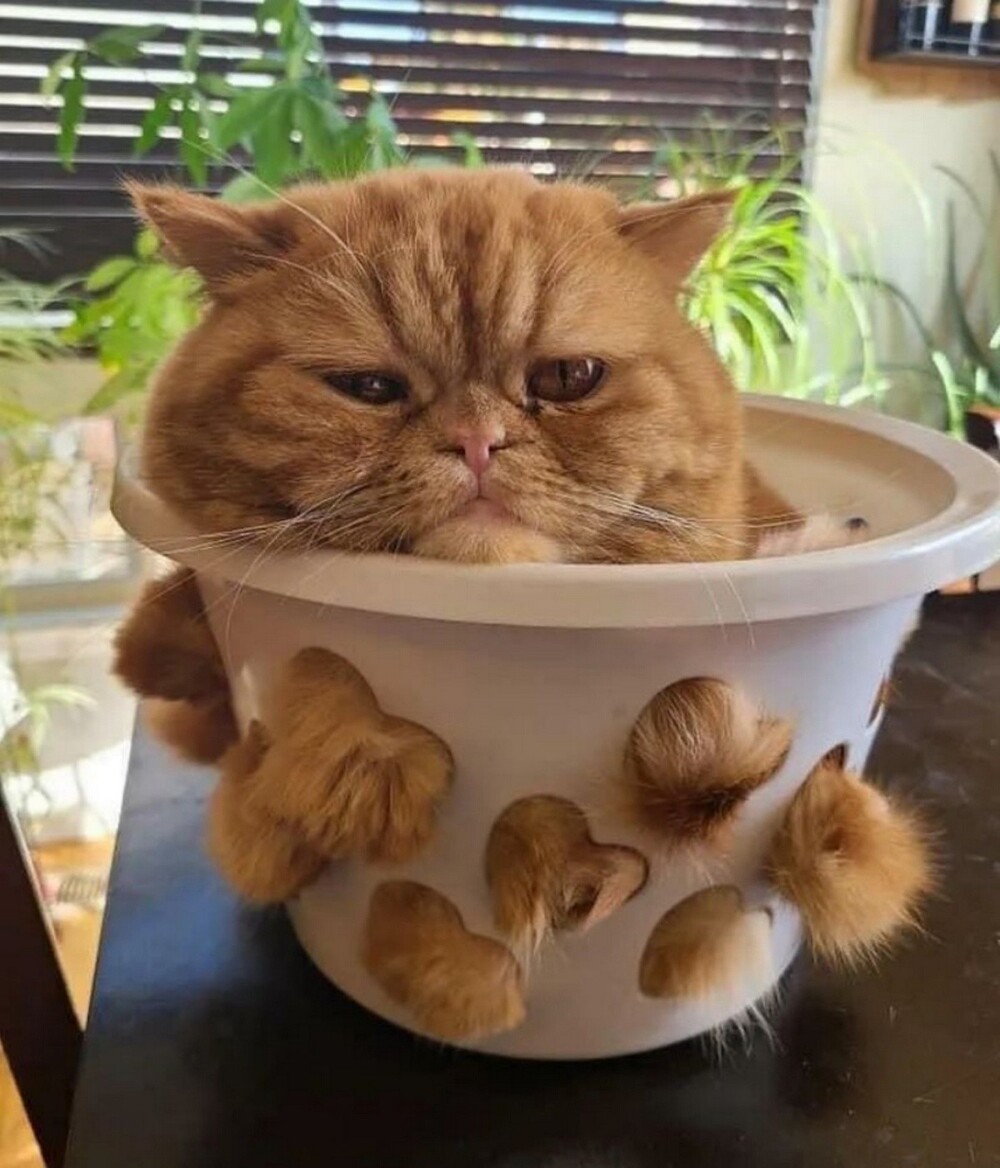 На общую тему&nbsp;