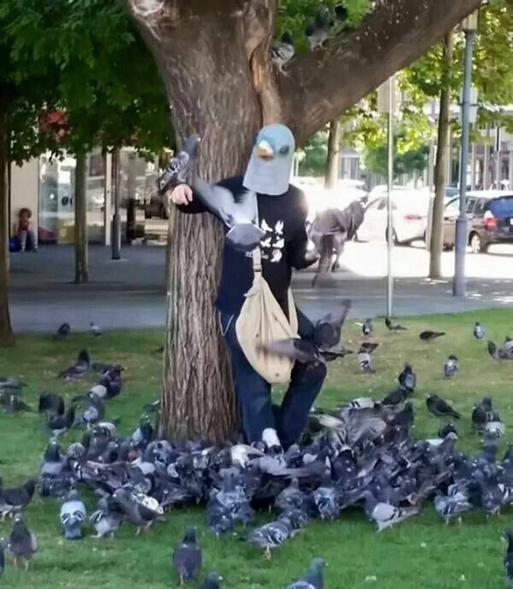 На общую тему&nbsp;