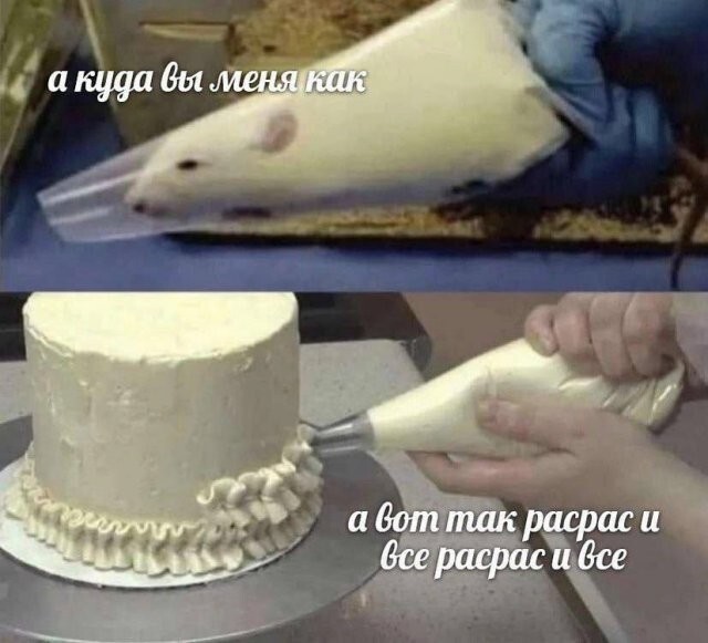 Скрины из соцсетей