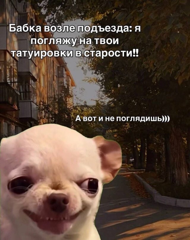 Скрины из соцсетей