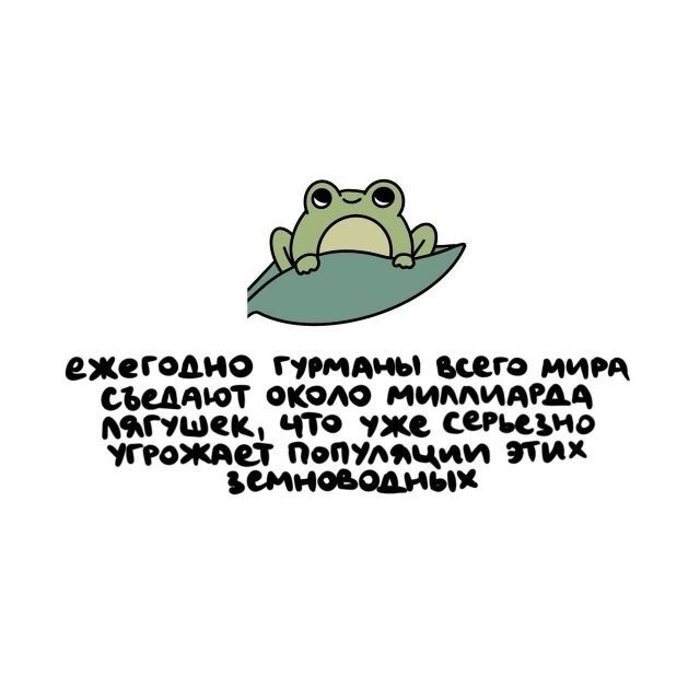 А вдруг ты не знал…