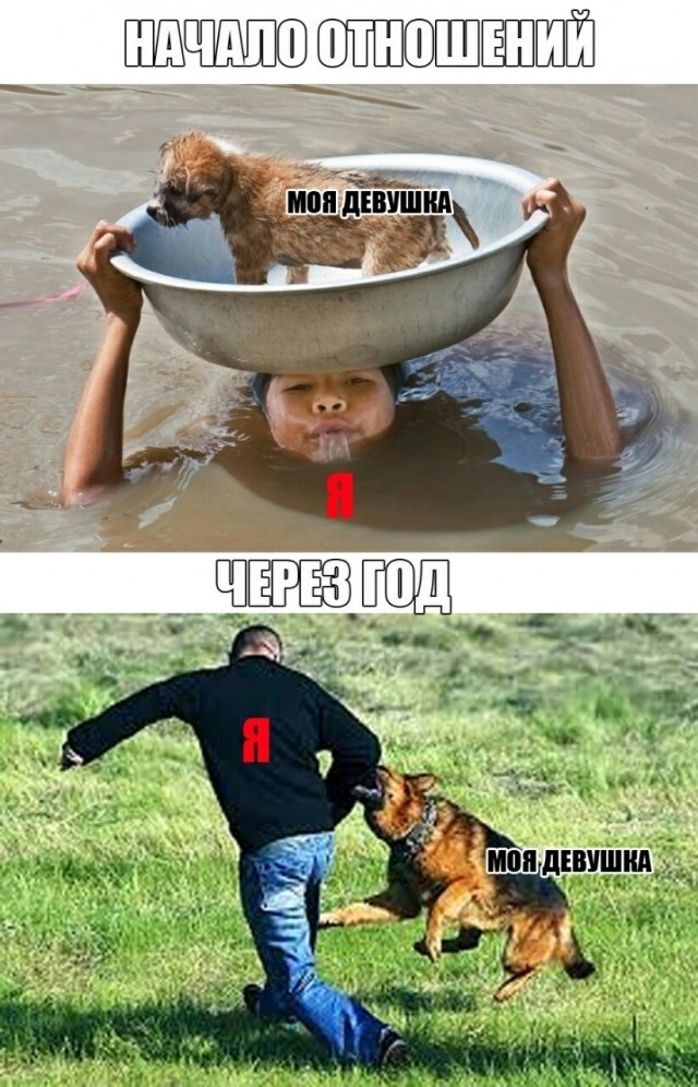 Всё вразнобой&nbsp;