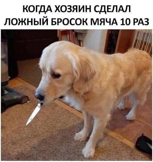 Всё вразнобой&nbsp;