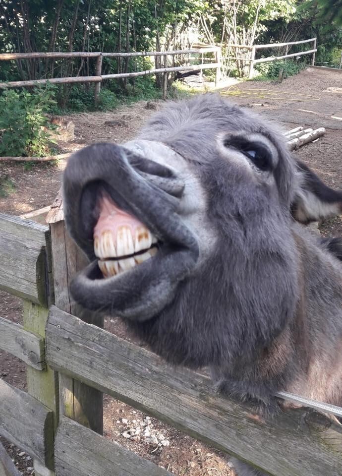 20. Улыбочку!