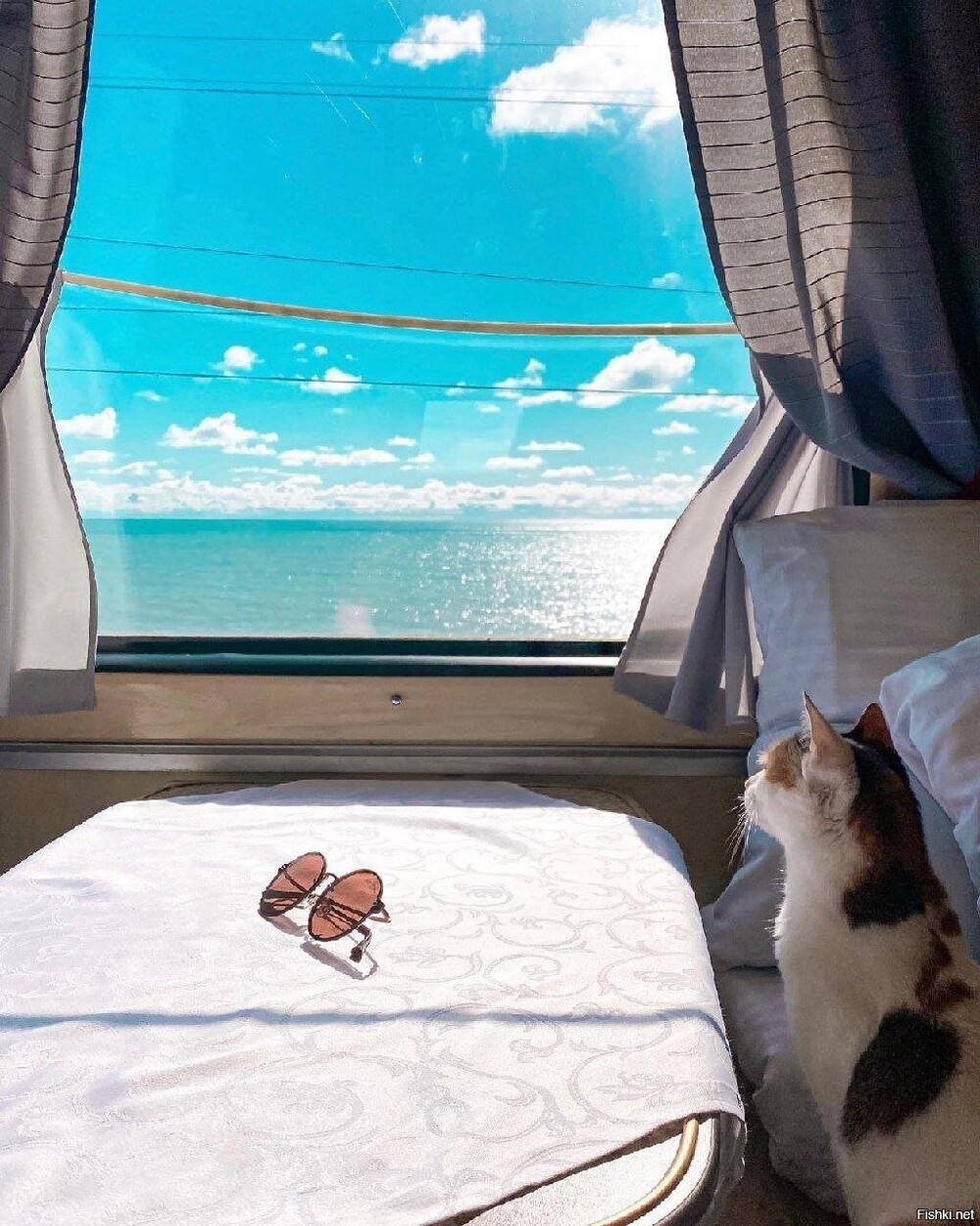 Солянка от 13.02.2026