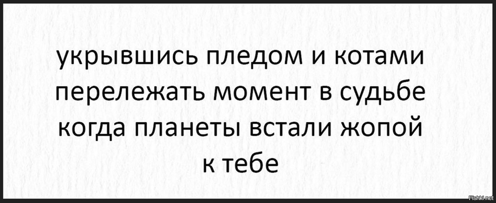 Солянка от 13.02.2026