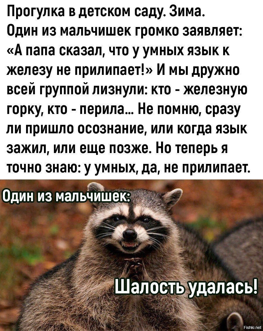 Солянка от 13.02.2026