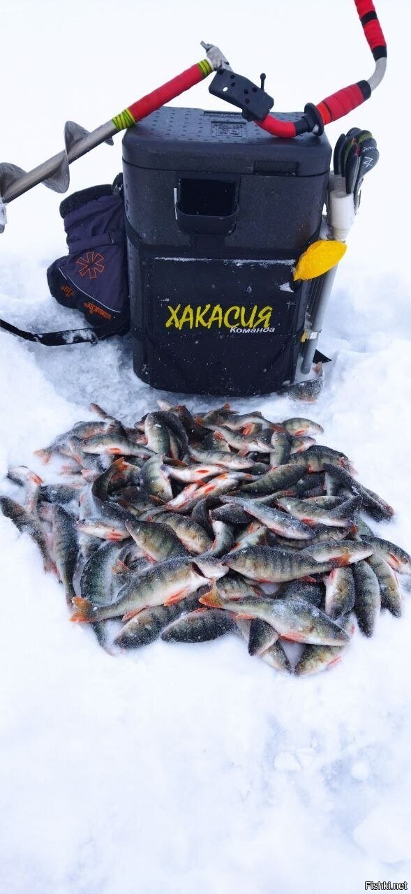 Солянка от 14.02.2026