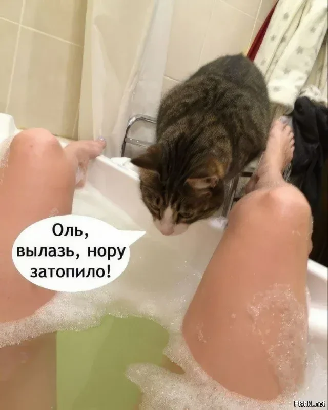 Солянка от 14.02.2026