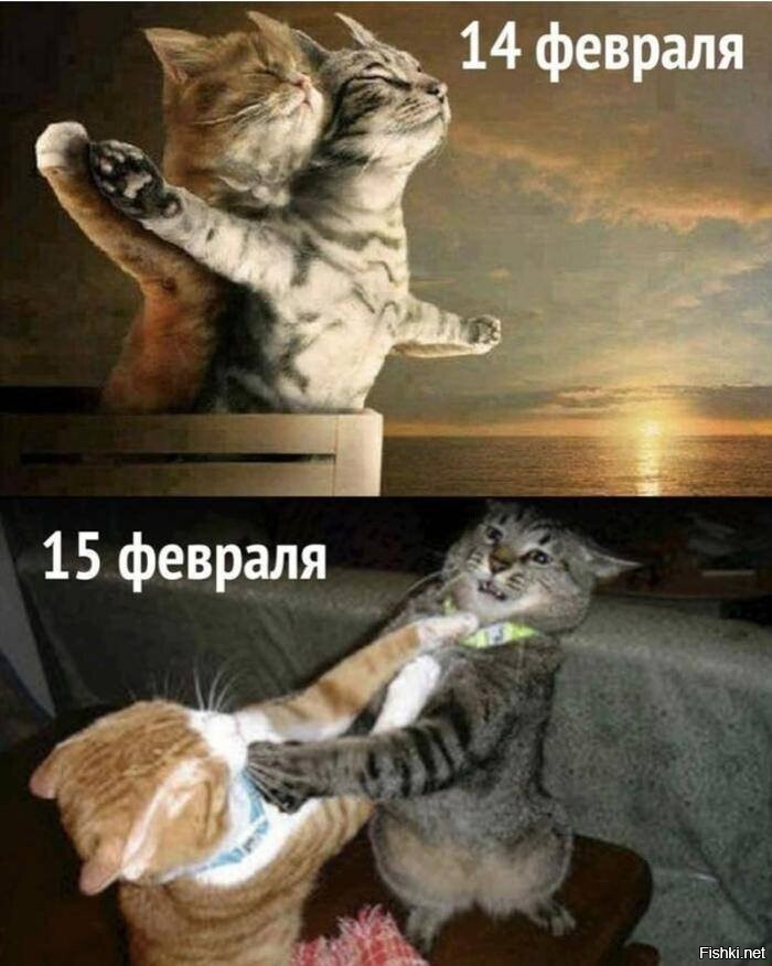 Солянка от 14.02.2026