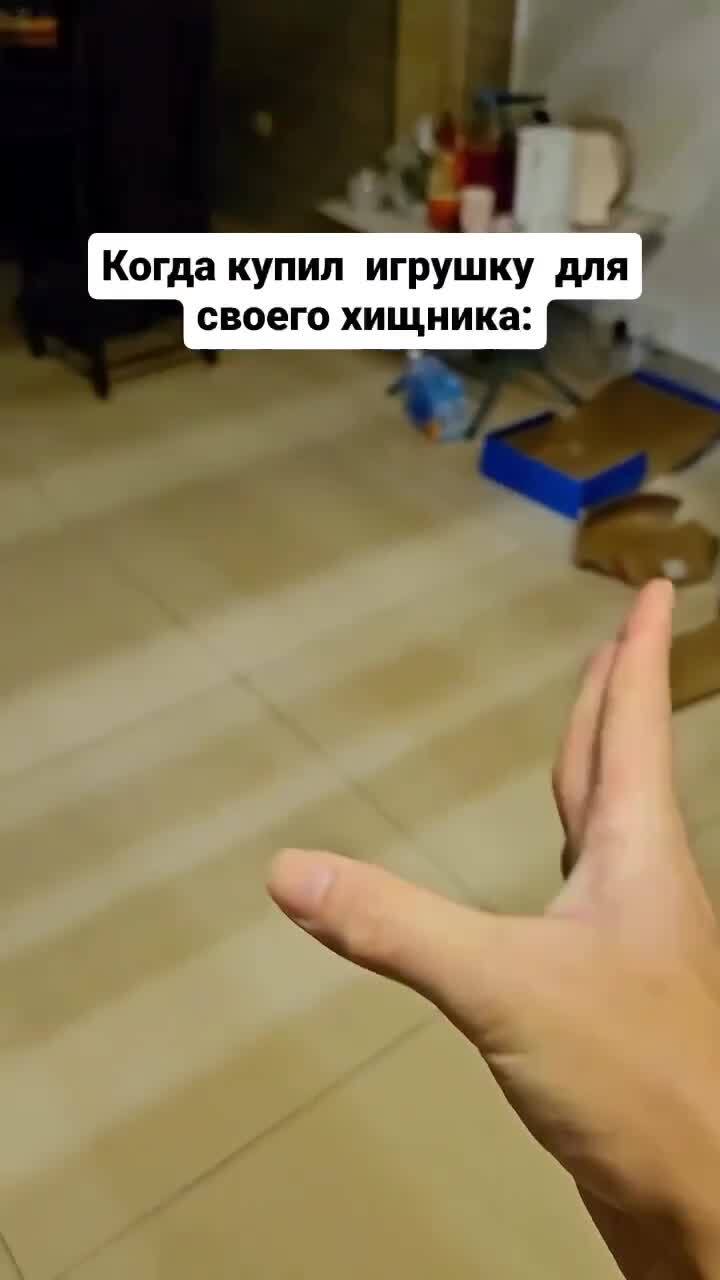 Солянка от 14.02.2026 