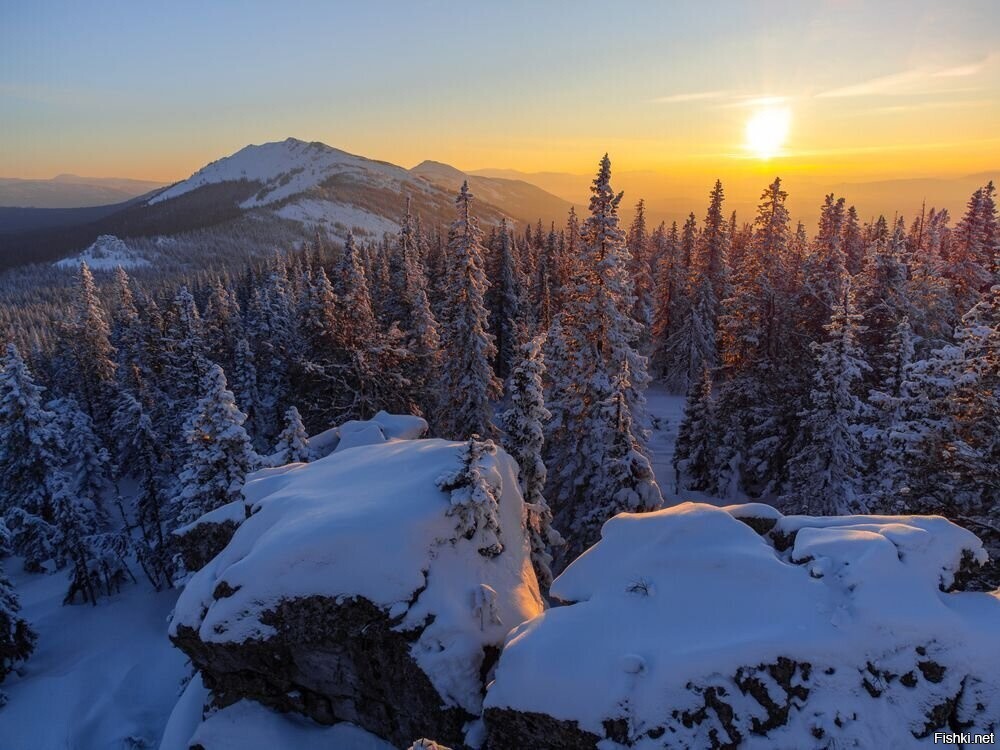 Солянка от 14.02.2026