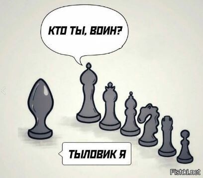 Солянка от 14.02.2026