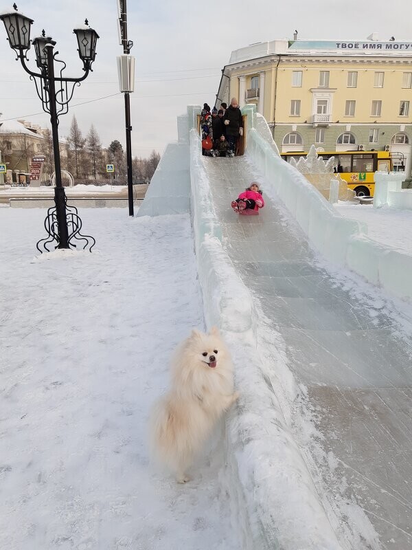 Зимние каникулы