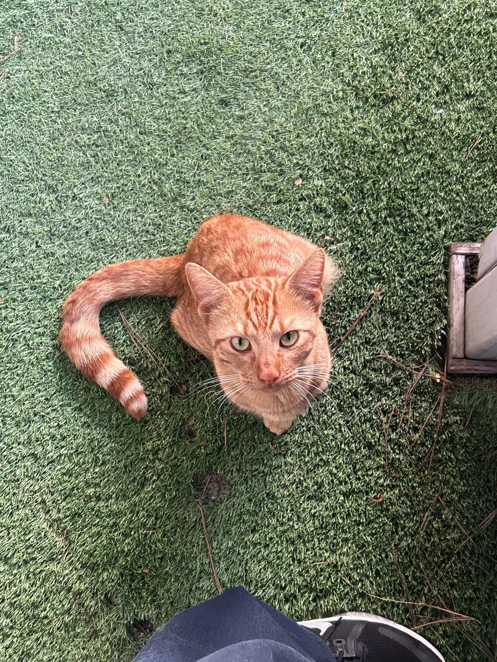 6. Нет времени объяснять, срочно возьми меня на ручки!