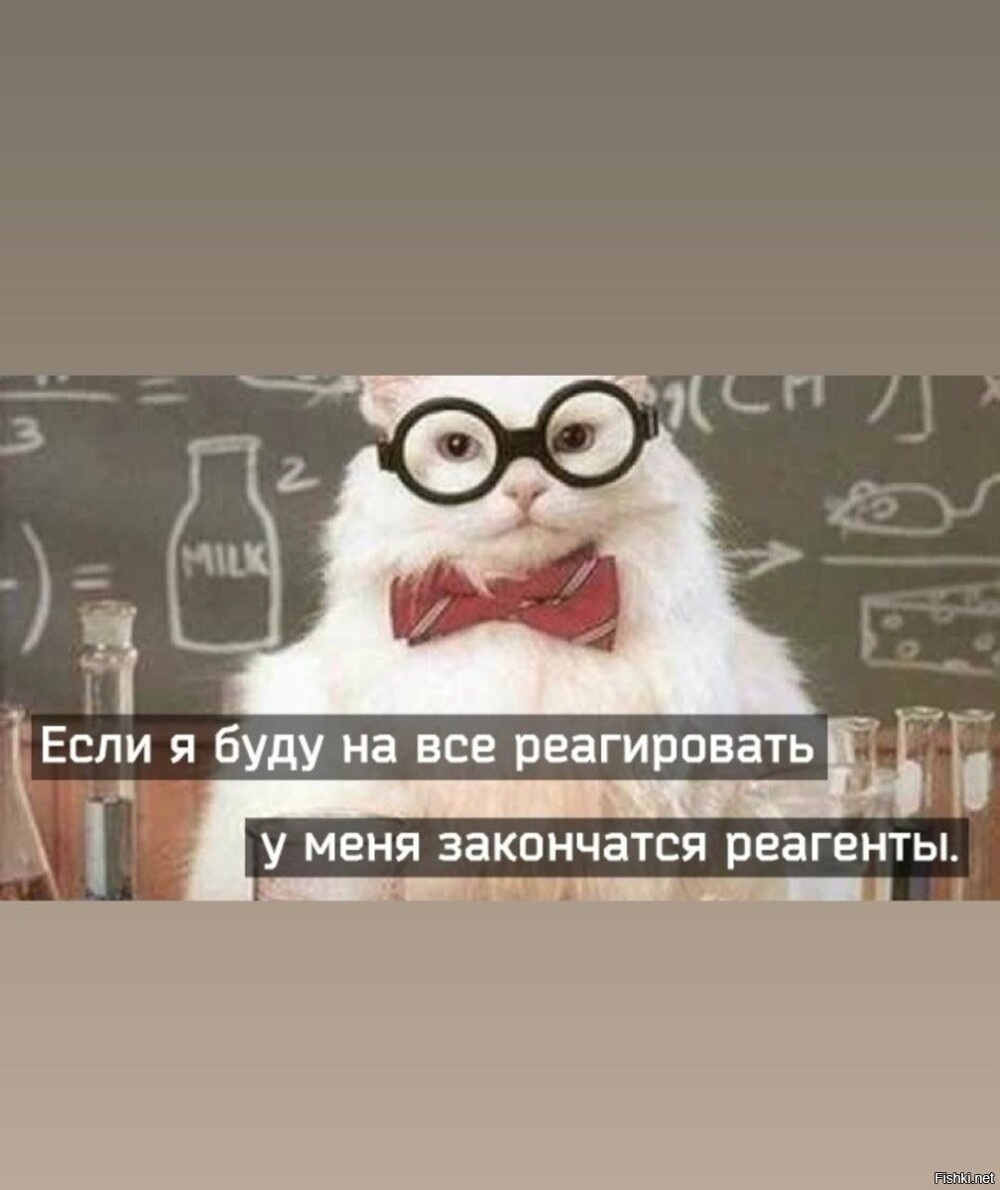 Солянка от 14.02.2026