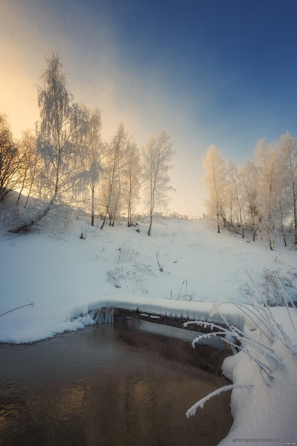 Солянка от 14.02.2026