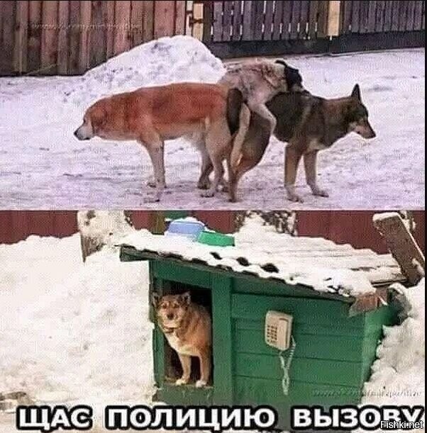 Солянка от 14.02.2026