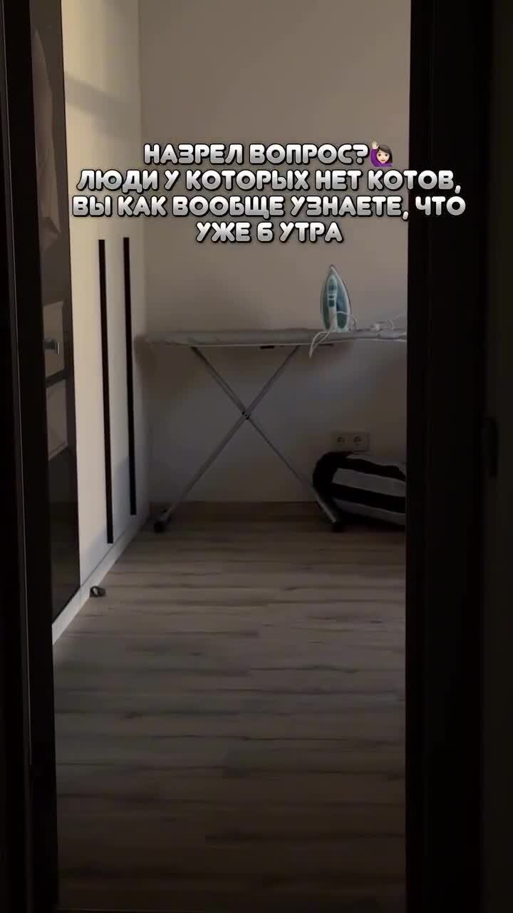 Солянка от 15.02.2026 