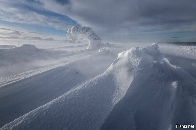 Пурга в Кандалакше, Мурманская область