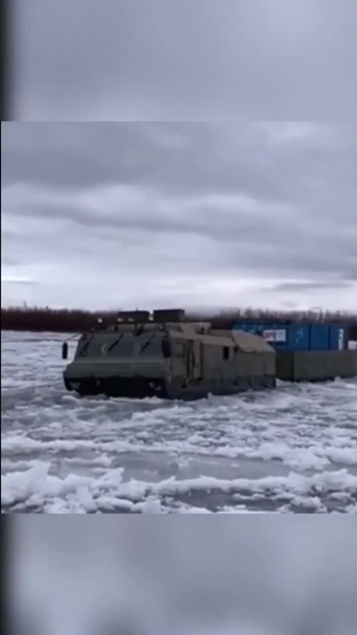 ДТ-30 «Витязь» (с 1984 г 