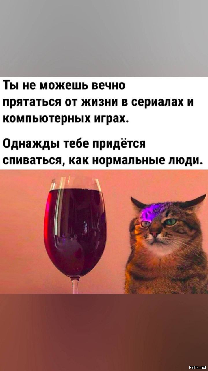Солянка от 15.02.2026