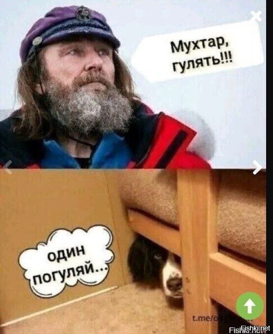 Солянка от 15.02.2026