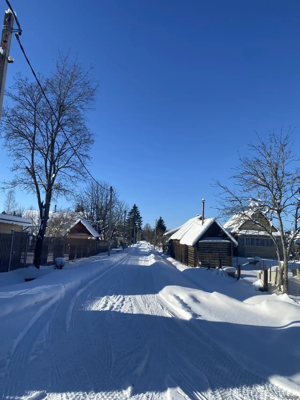 Морозно и солнечно сегодня