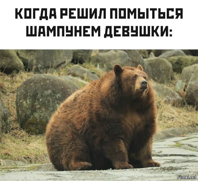 Солянка от 15.02.2026