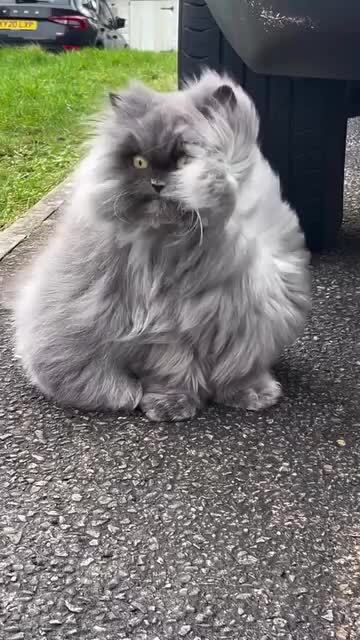 Солянка от 15.02.2026 