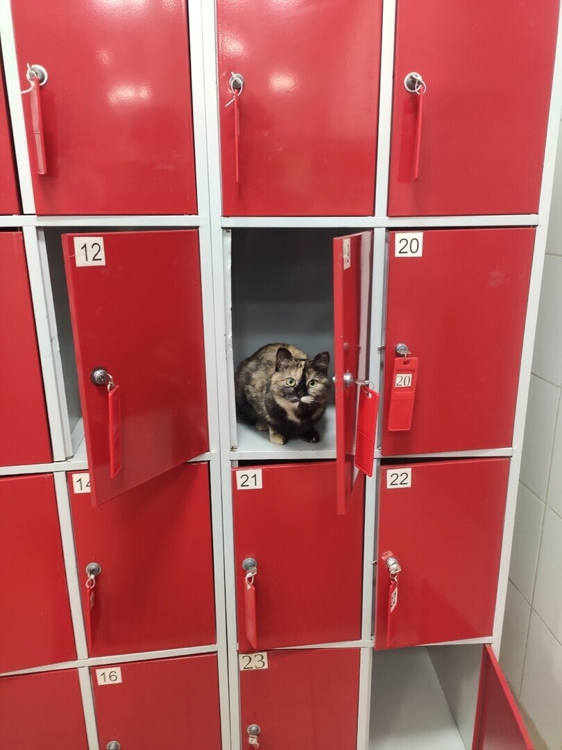 Не забывайте ценные вещи