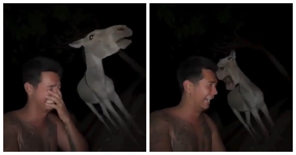 Парень нашёл родственную душу