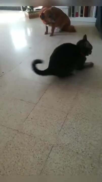 С понедельником 