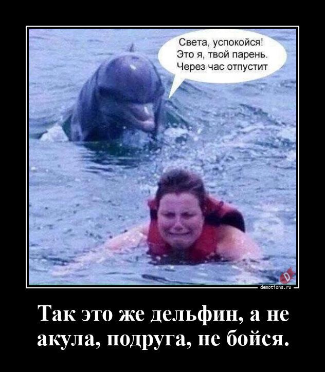 Демотиваторы на злобу дня