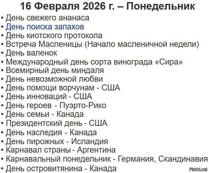 Солянка от 16.02.2026